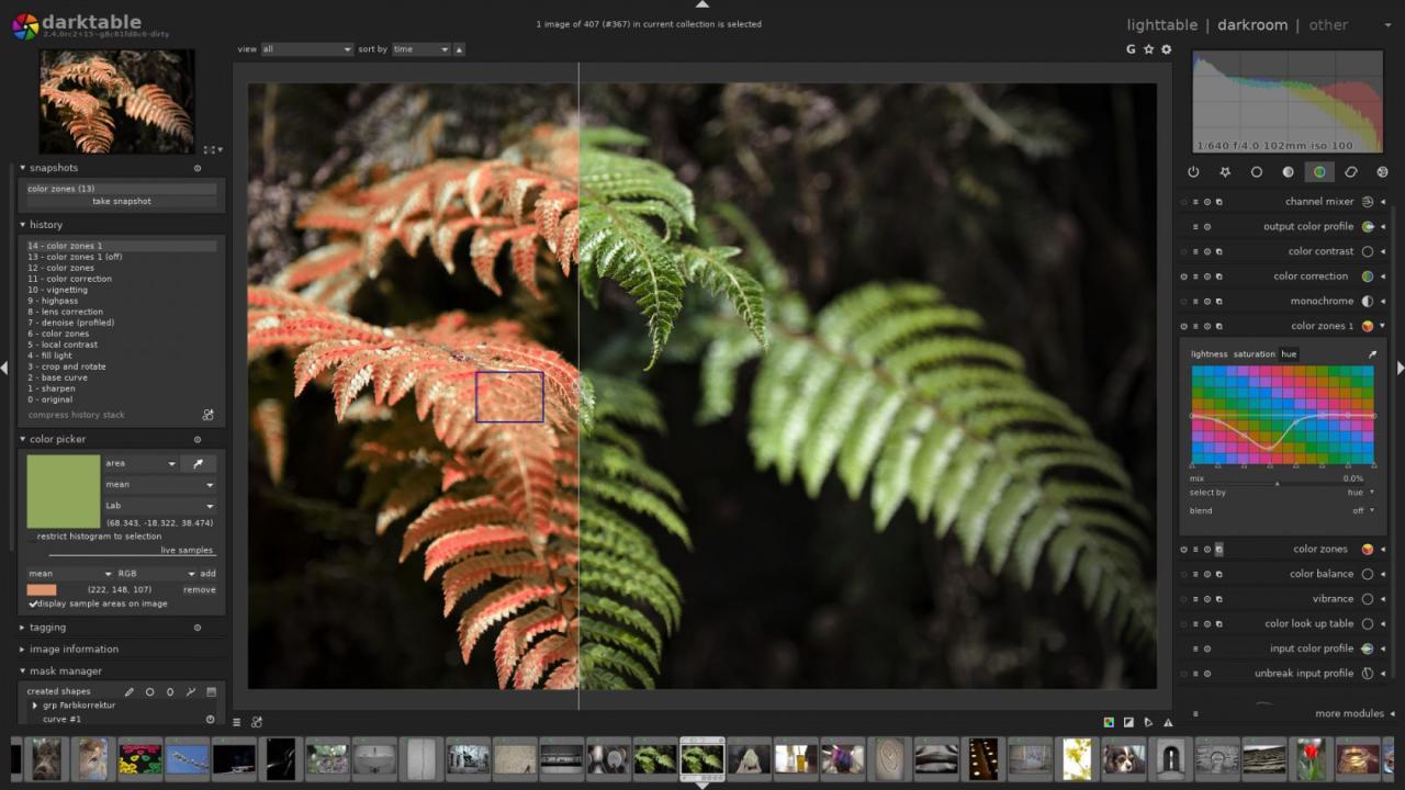 Best Software For PC Photo Editing: Enhance Your Images Like A Pro