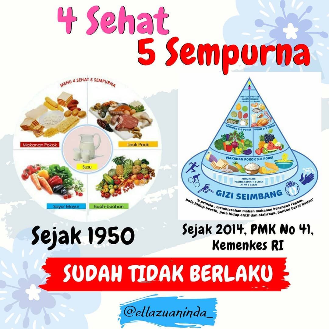 Pola makan menurut who