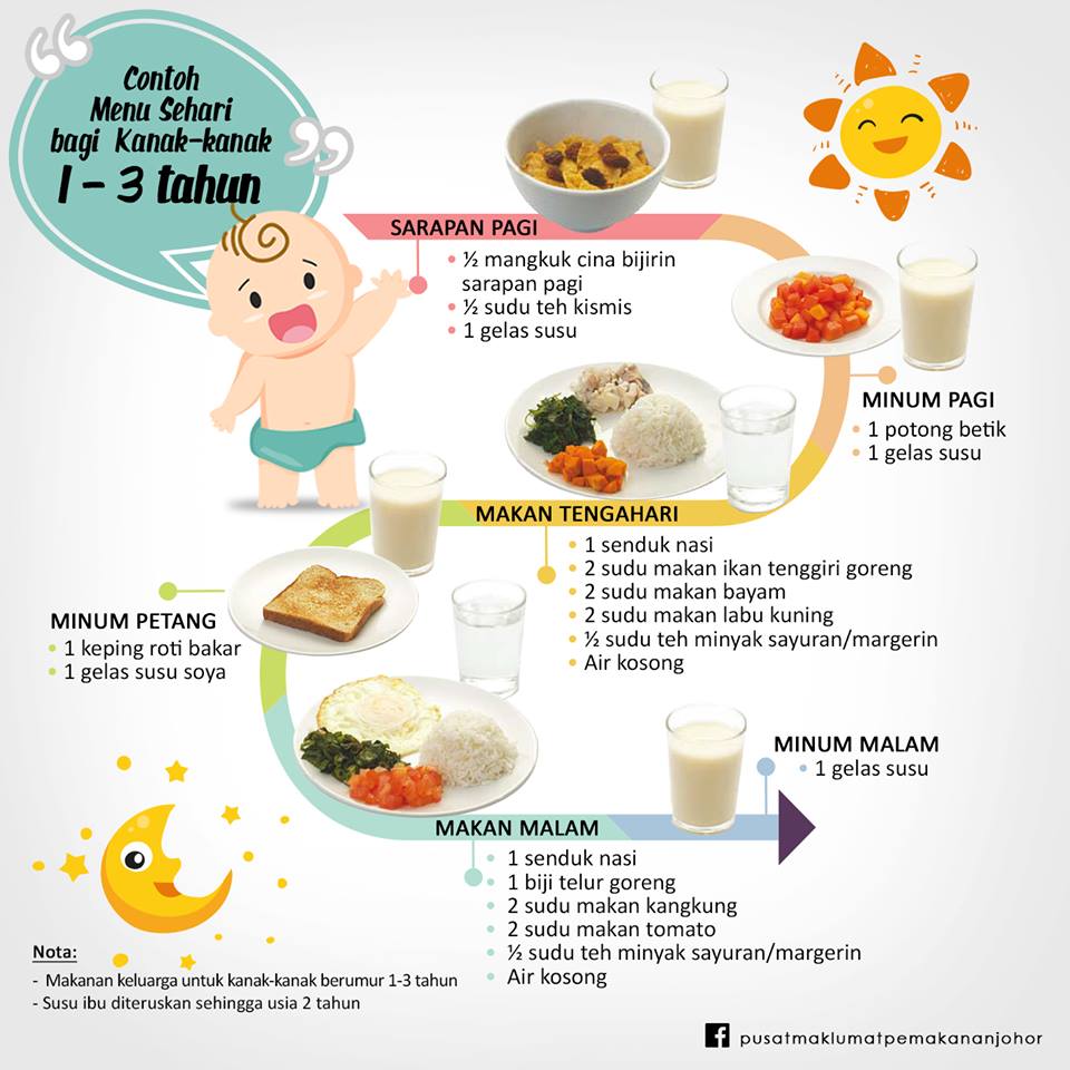 Pola makan anak usia 3 5 tahun
