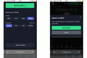 Teknik Mendapat MP3 dari Video di Instagram Langkah-Langkah Praktis